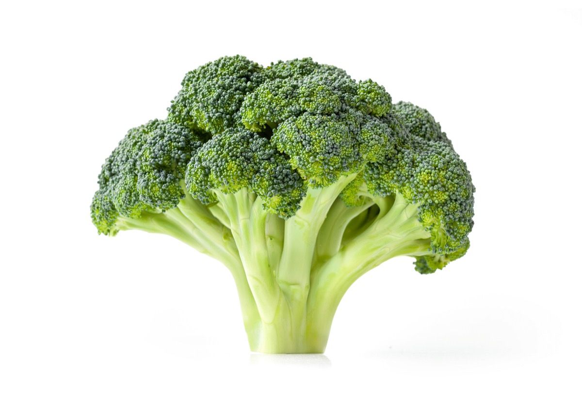 Broccoli isolated on white background