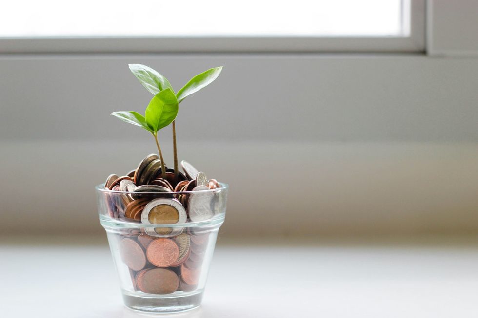 a plant with coins representing growth of money