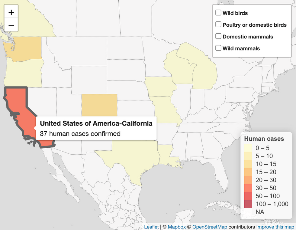 bird flu map