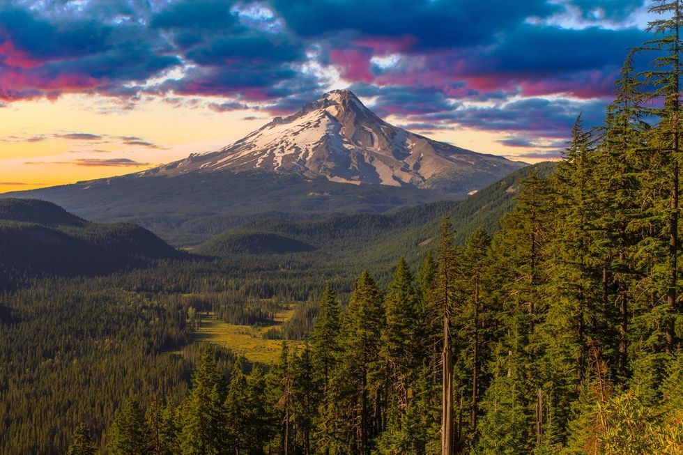 The 7 Best National Forests That Need to Be on Your Bucket List — Best Life