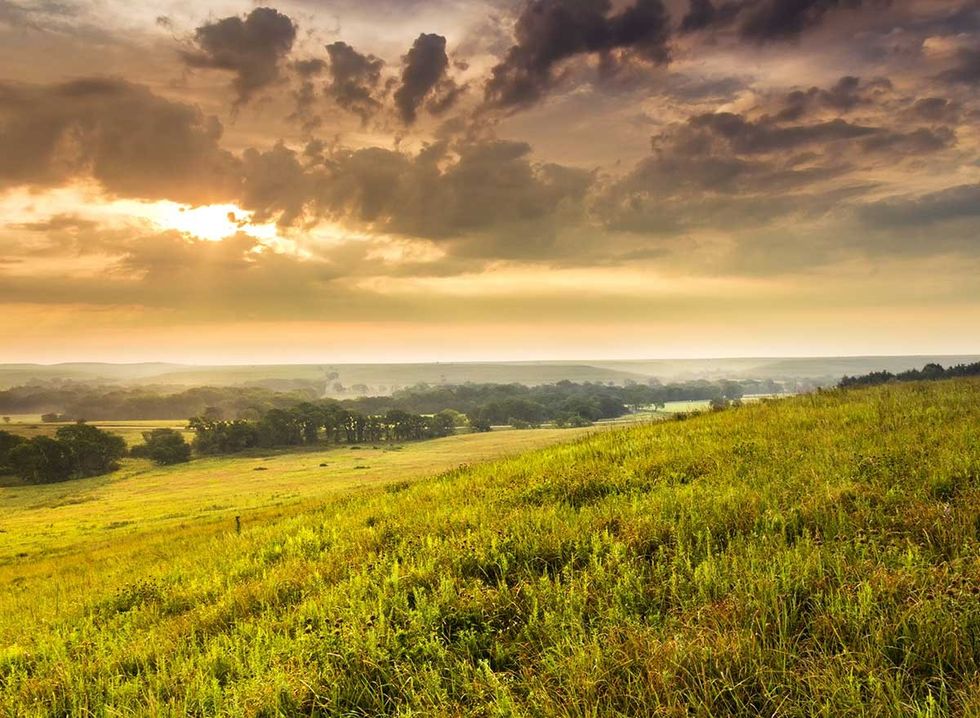 This Is the Most Stoned State in America, According to Data — Best Life