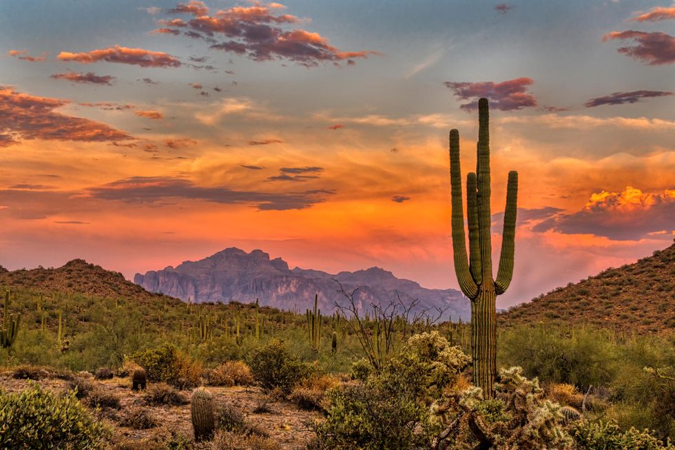 things to do in phoenix - sunset in the sonoran desert