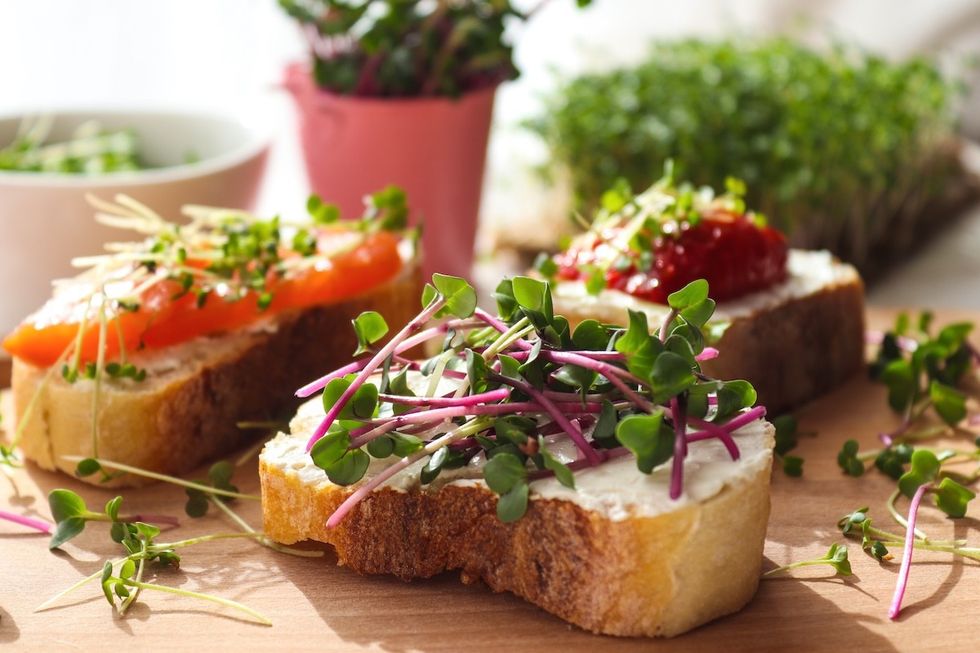 toasts with microgreens