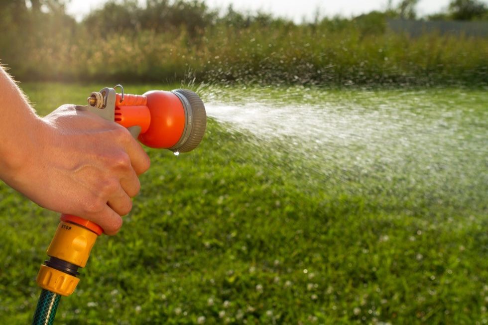 6 Ways to Pest-Proof Your Grass, Landscaping Experts Say — Best Life