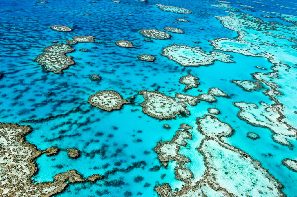 The Great Barrier Reef Planet Earth Facts