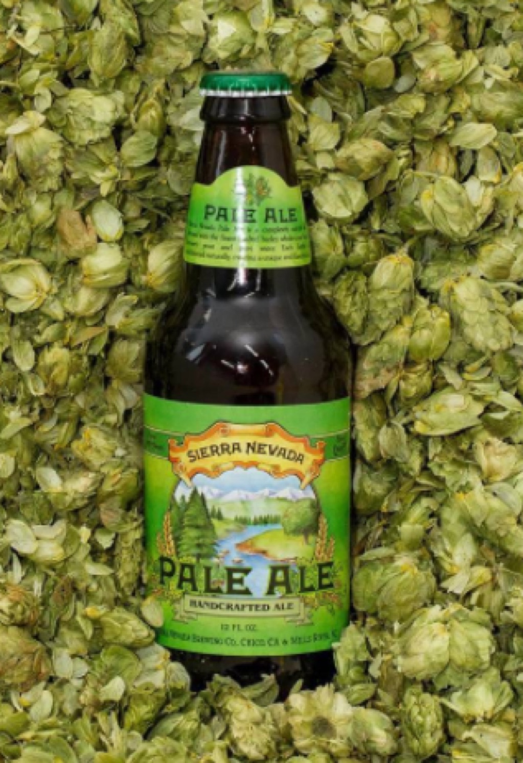 The 30 Best PostWorkout Beers—Ranked — Best Life