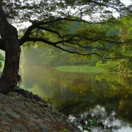 getting into nature can help