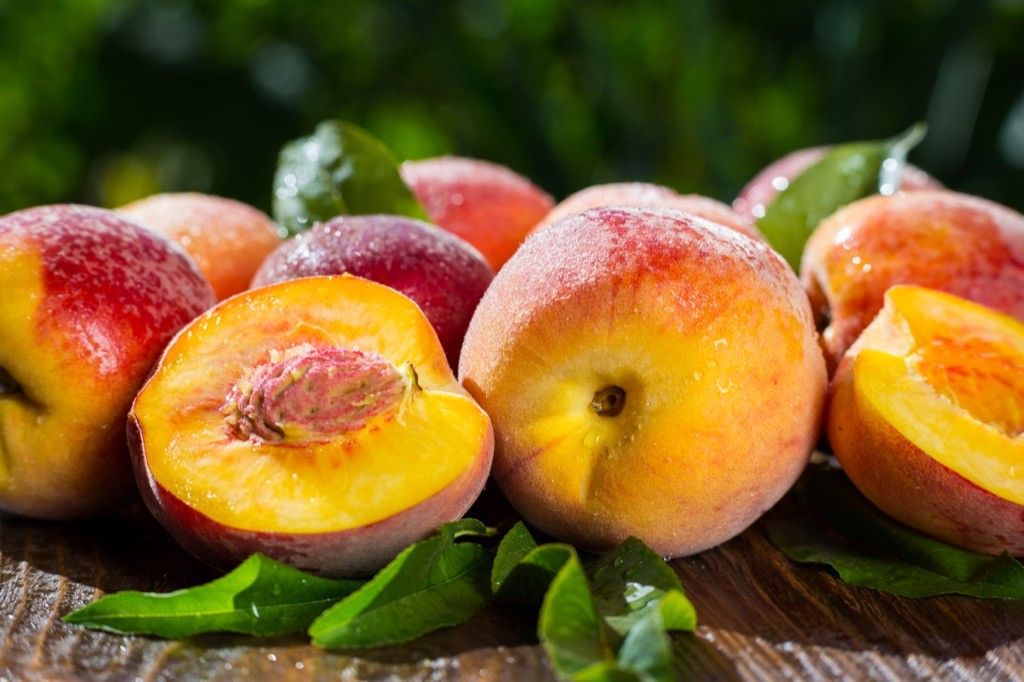 are peaches toxic to dogs