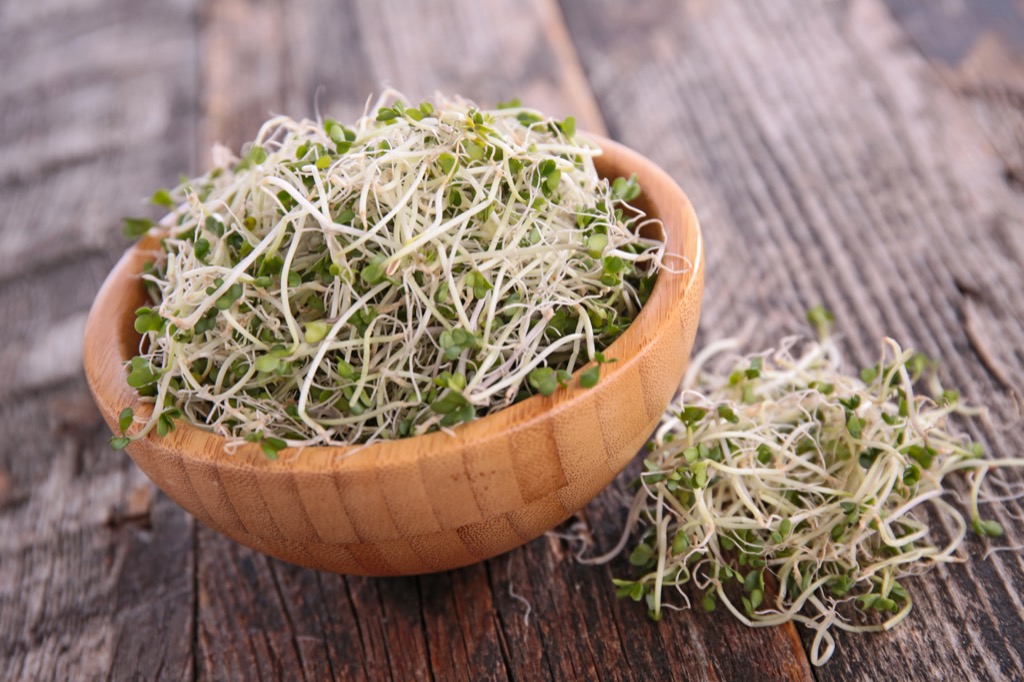 Broccoli Sprouts, which is one of the best anti-aging foods for men north of 40. 