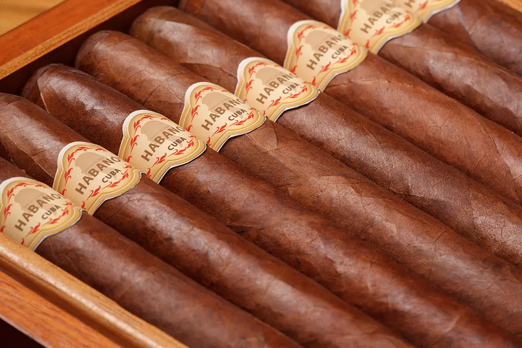 Cuban cigars, over 40