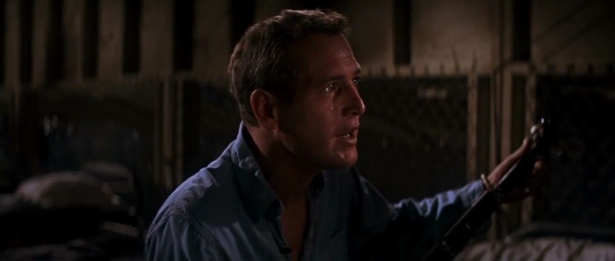 cold hand luke movie scene, movie quotes