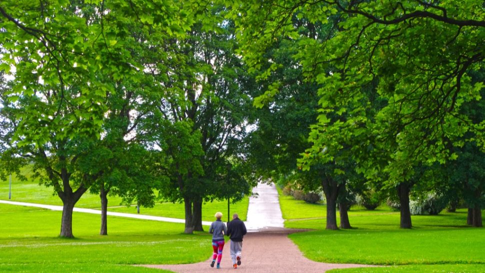 The 50 Longest-Living Cities in America Right Now | Best Life