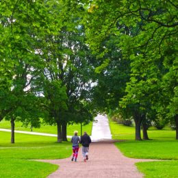 city representing health and life expectancy