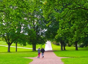 city representing health and life expectancy