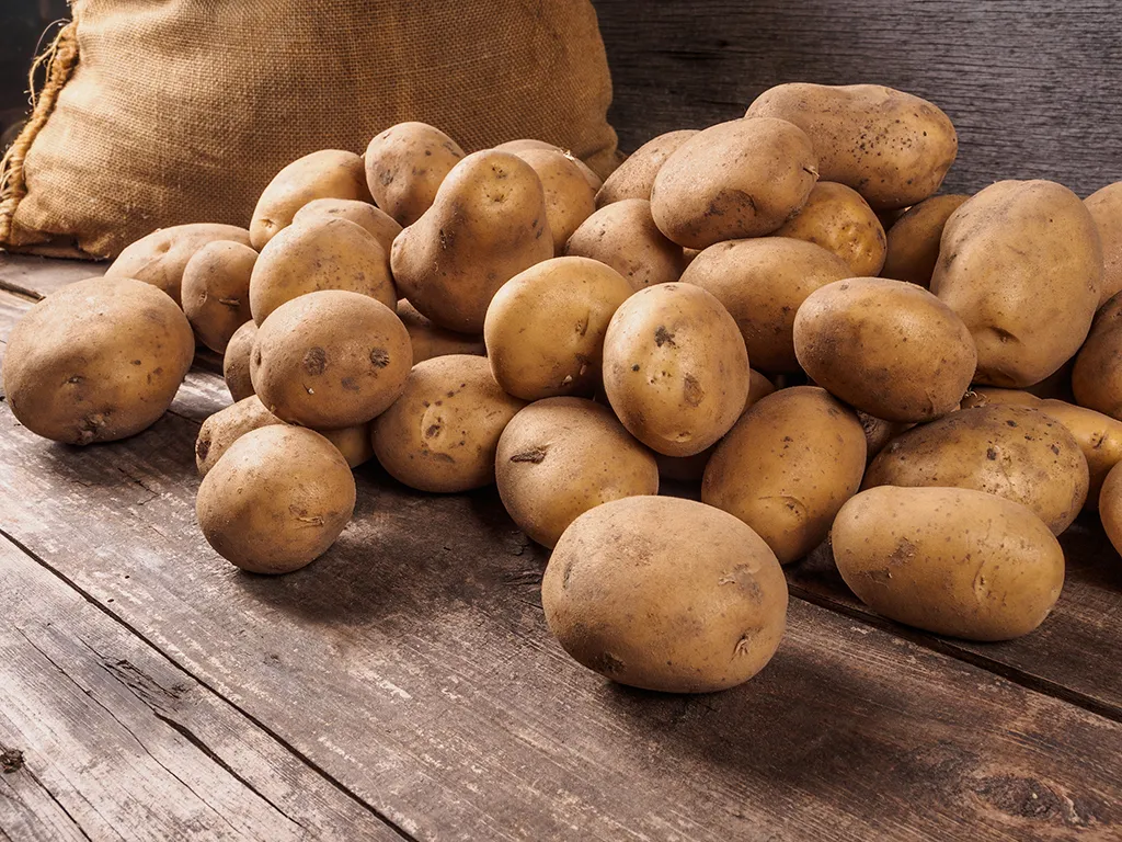 potatoes, top slang words in every state