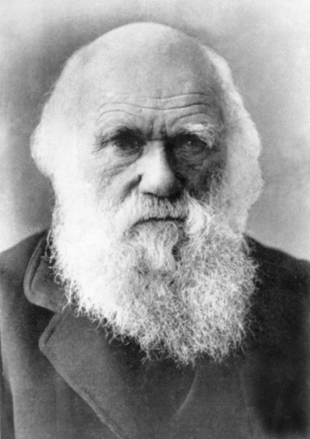 Charles Darwin became famous after 40