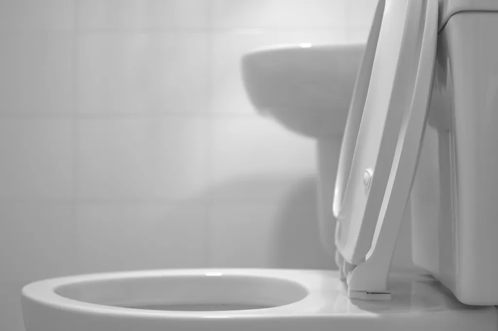 Toilet Useful Random Facts