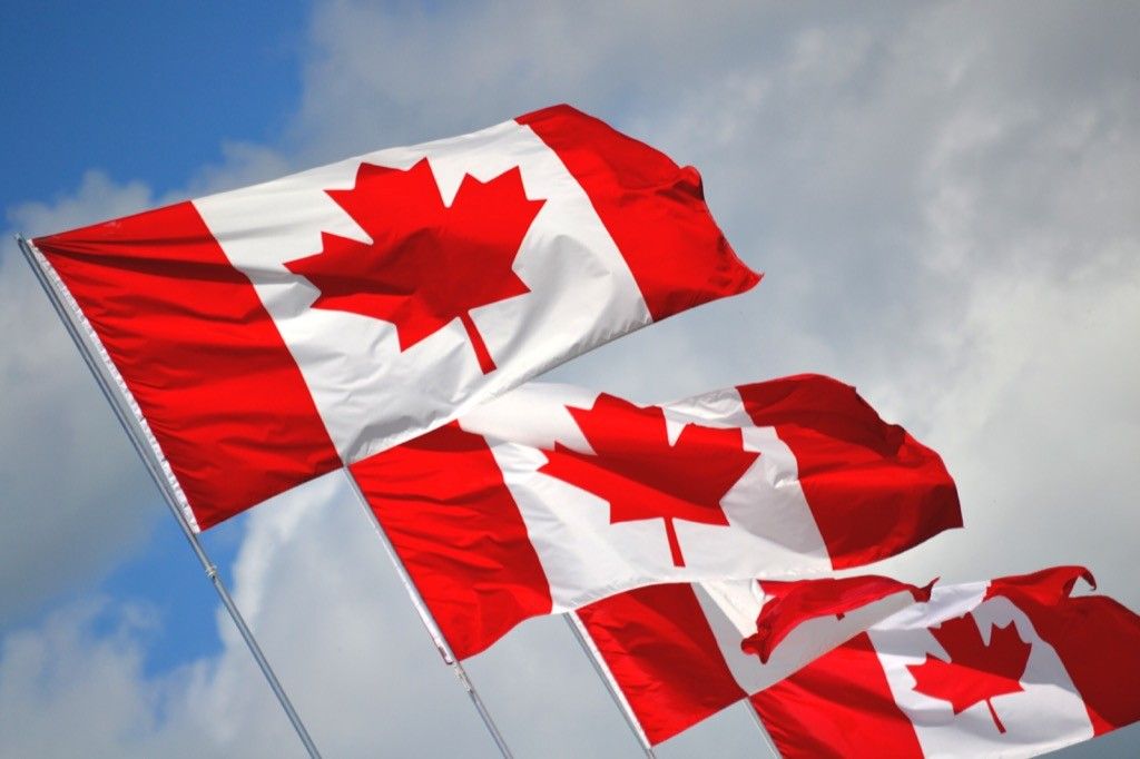 Canadian flags flying in sunny sky