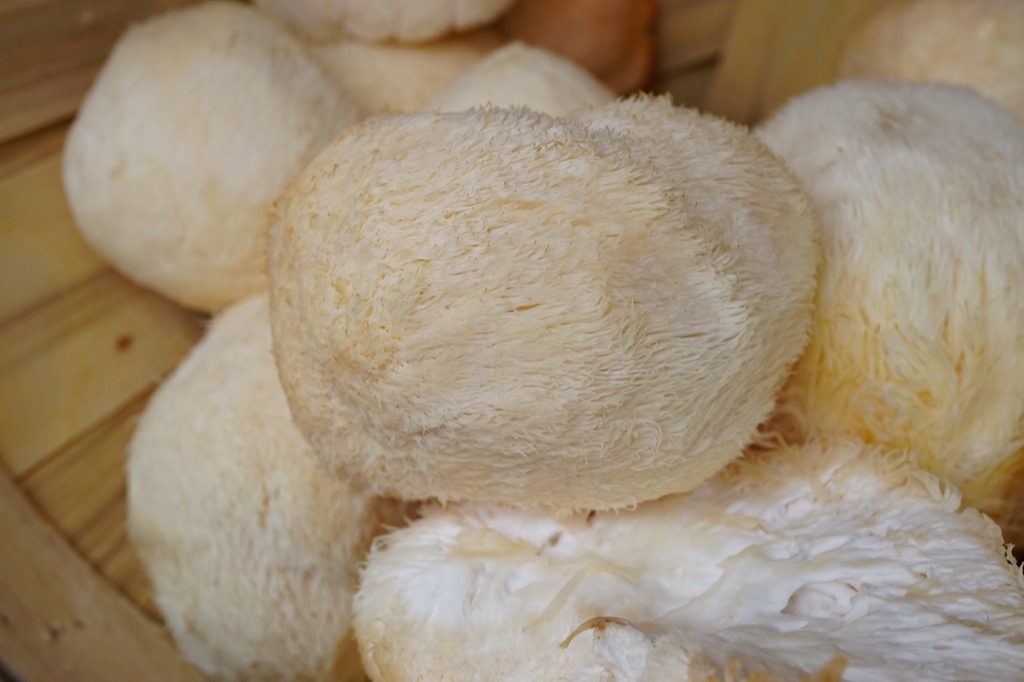 lions mane mushroom, OTC pills that make you smarter