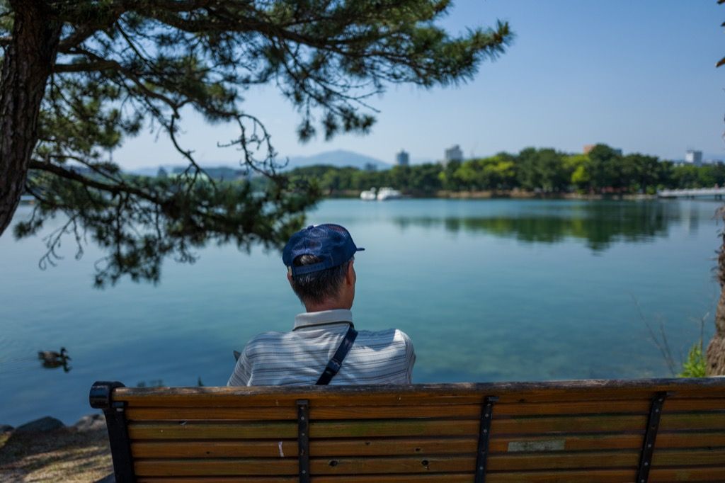 senior man sitting alone on bench, photographed from behind, looking at lake