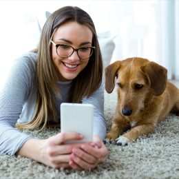 Dog and owner looking at phone