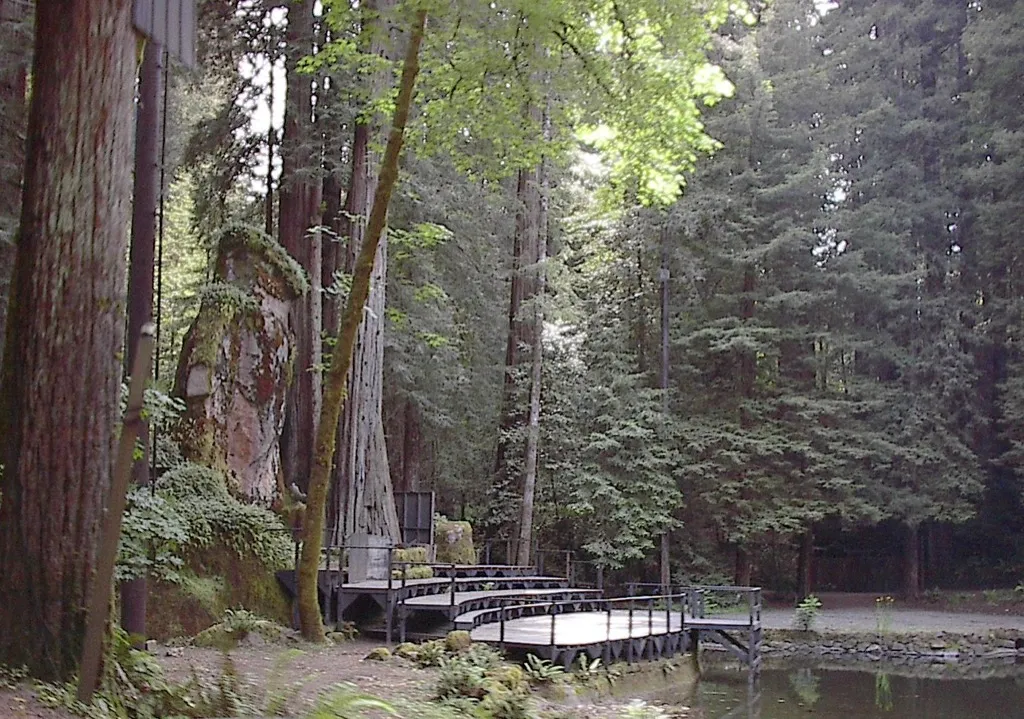 bohemian grove, what the government is hiding