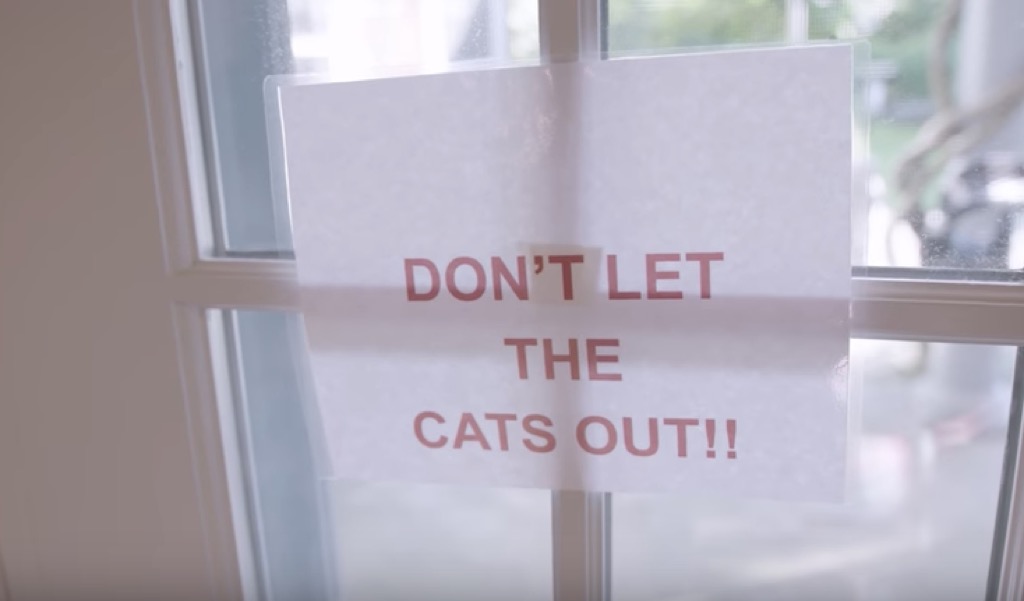 Robert Downey Jr.'s sign: Don't let the cats out!