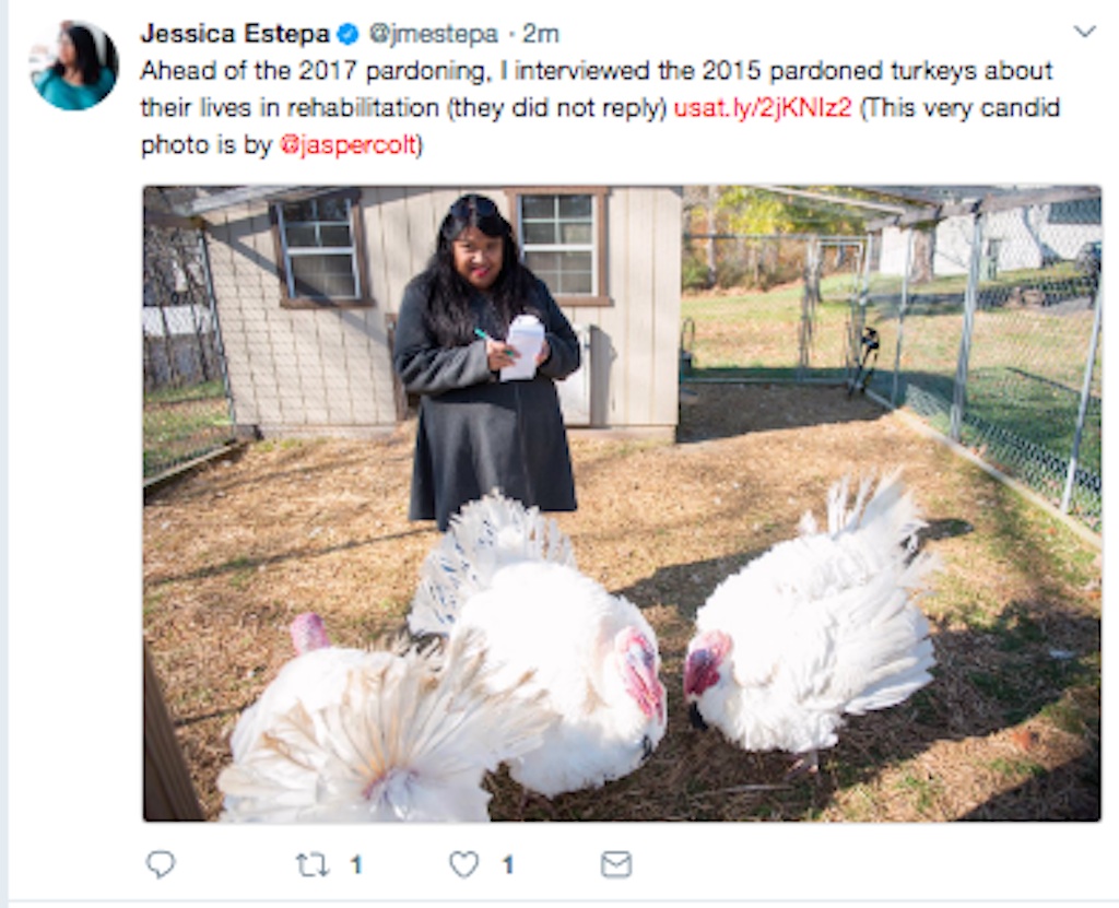 journalist interviews 2015 turkeys pardoned by white house, Honest and Abe