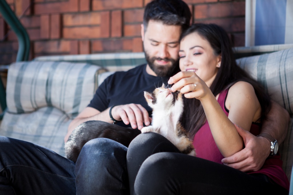 Couple with Cat Awkward Moments