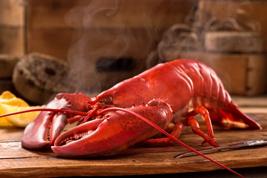 lobster on table, did you know facts