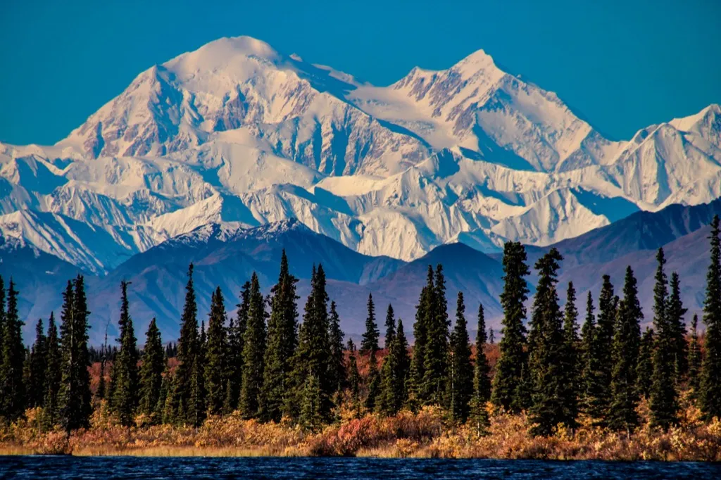 Denali National Park Alaska Magical Destinations