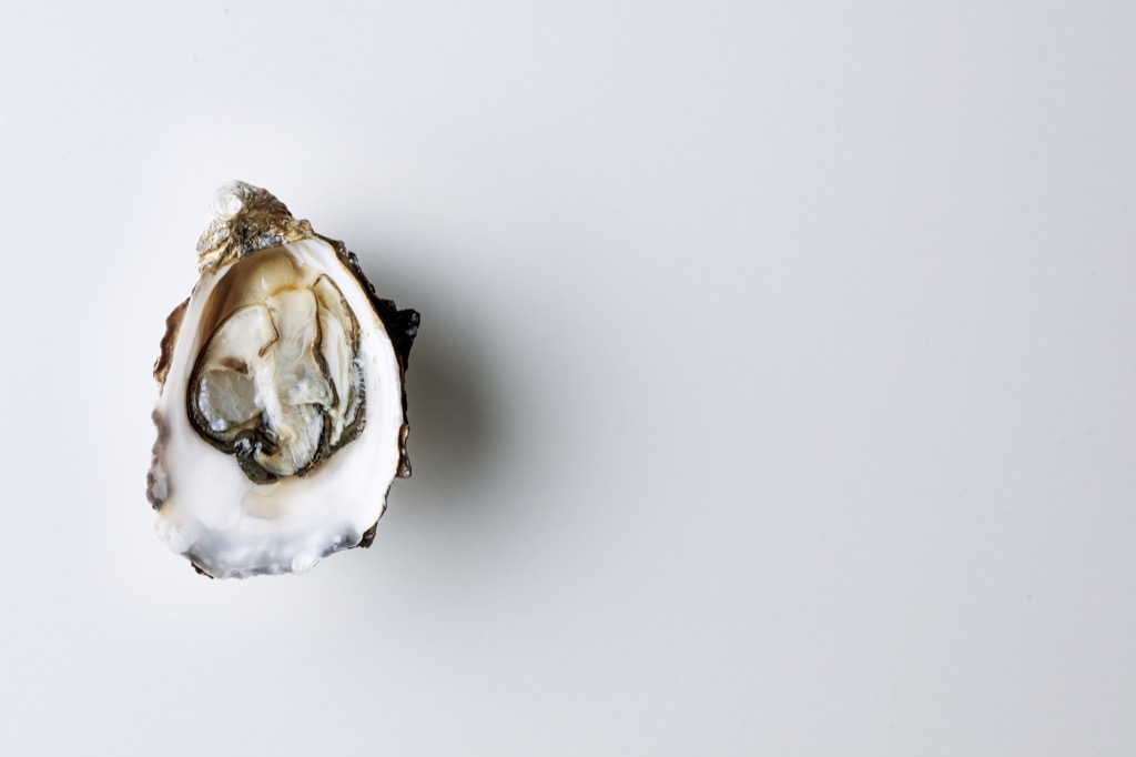 Shucked oyster