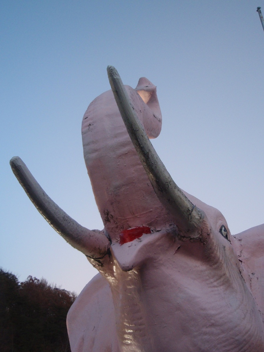 pink elephant statue in kentucky