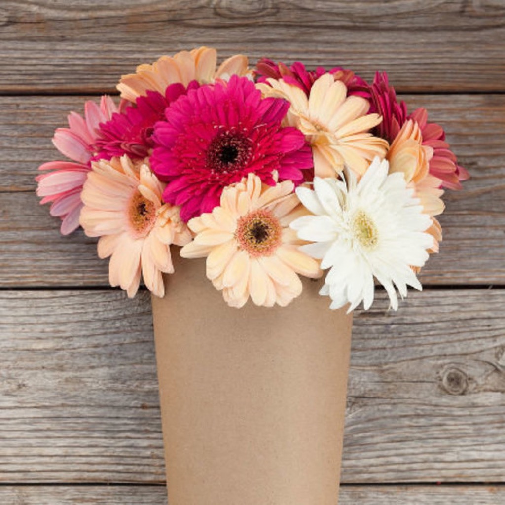Flowers Best Birthday Gifts For Your Wife