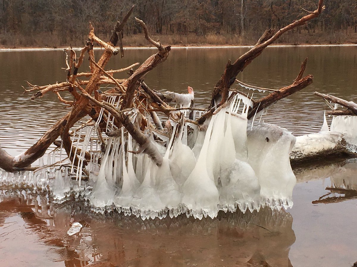  Lake Thunderbird, OK - Cool ice formations from waves splashing over the branches and freezing