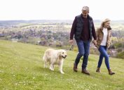 old couple walking dog, long marriage tips