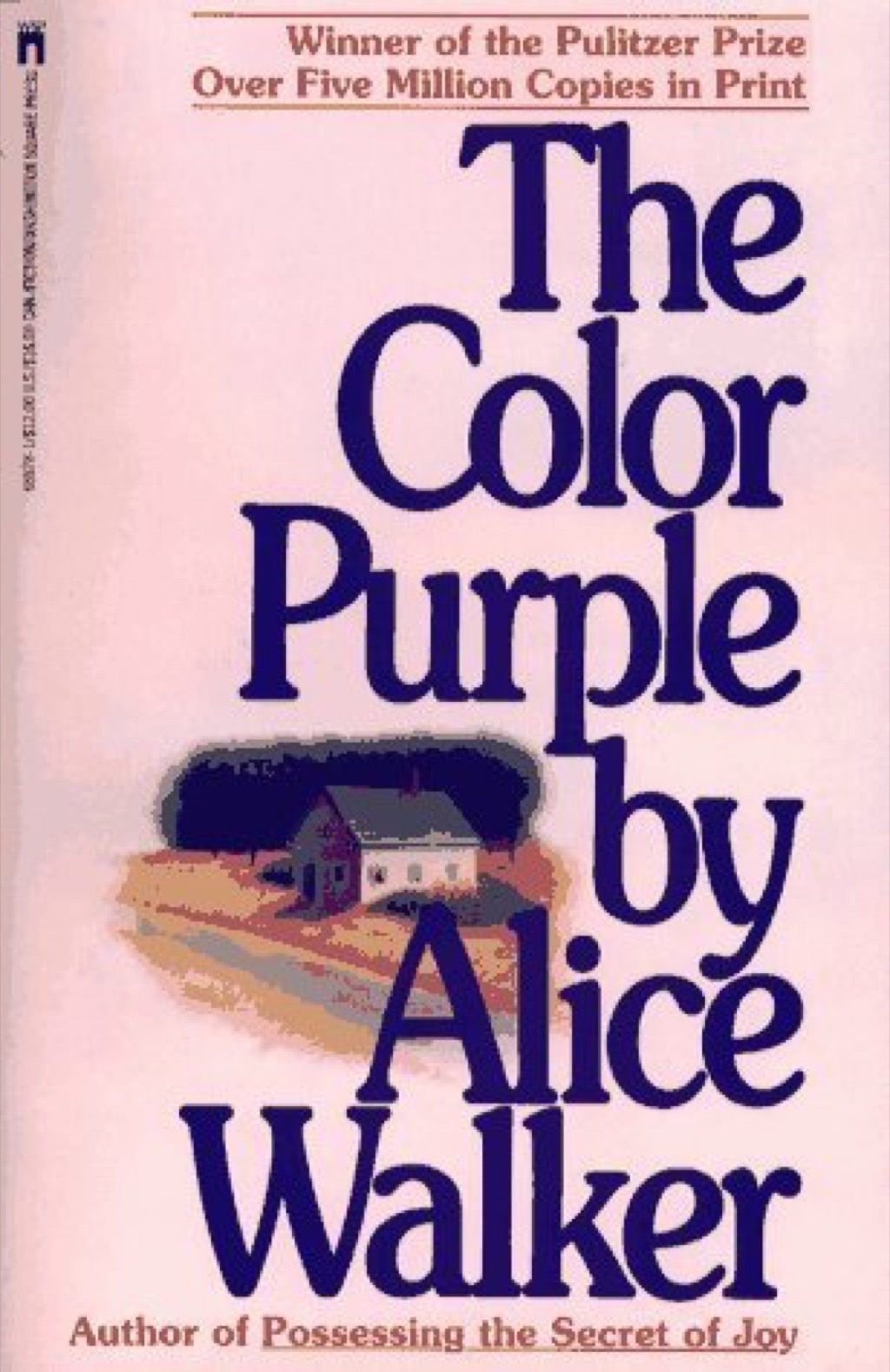 The Color Purple by Alice Walker books every woman should read in her 40s