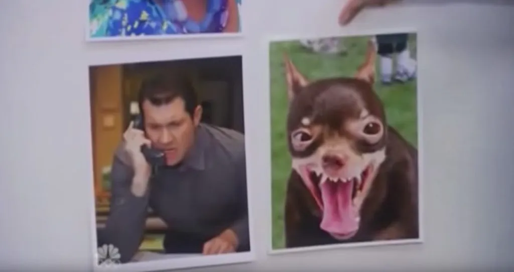 Craig Middlebrooks Funniest Jokes From Parks and Recreation