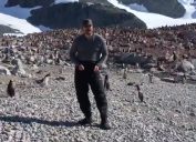 David Harbour dances with penguins in Antartica.