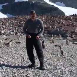 David Harbour dances with penguins in Antartica.