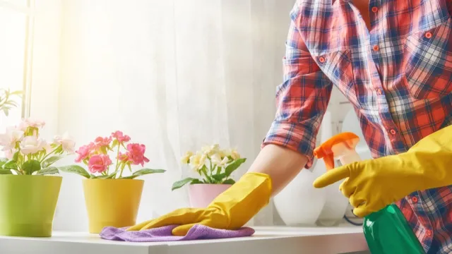 woman dusting countertop, new uses for cleaning products