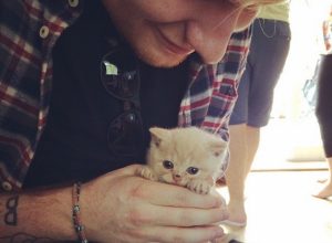 Ed Sheeran celebrities who look like their pets