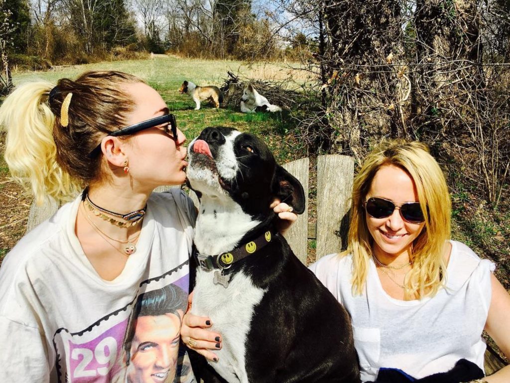 Miley Cyrus celebrities who look like their pets