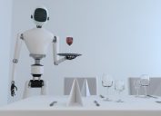 Robot Butler Predictions About the Future