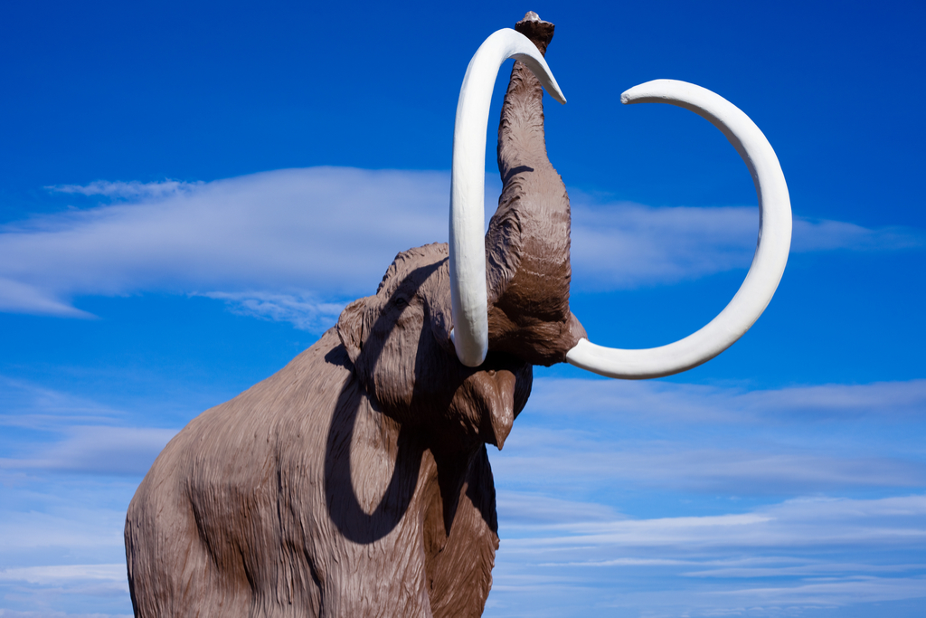 Wooly Mammoth Sculpture Predictions About the Future