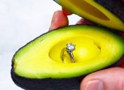 avocado proposal