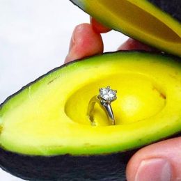 avocado proposal