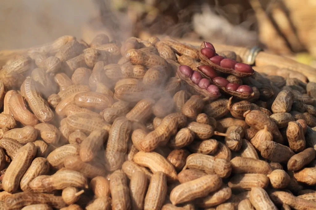 boiled peanuts heart healthy diet