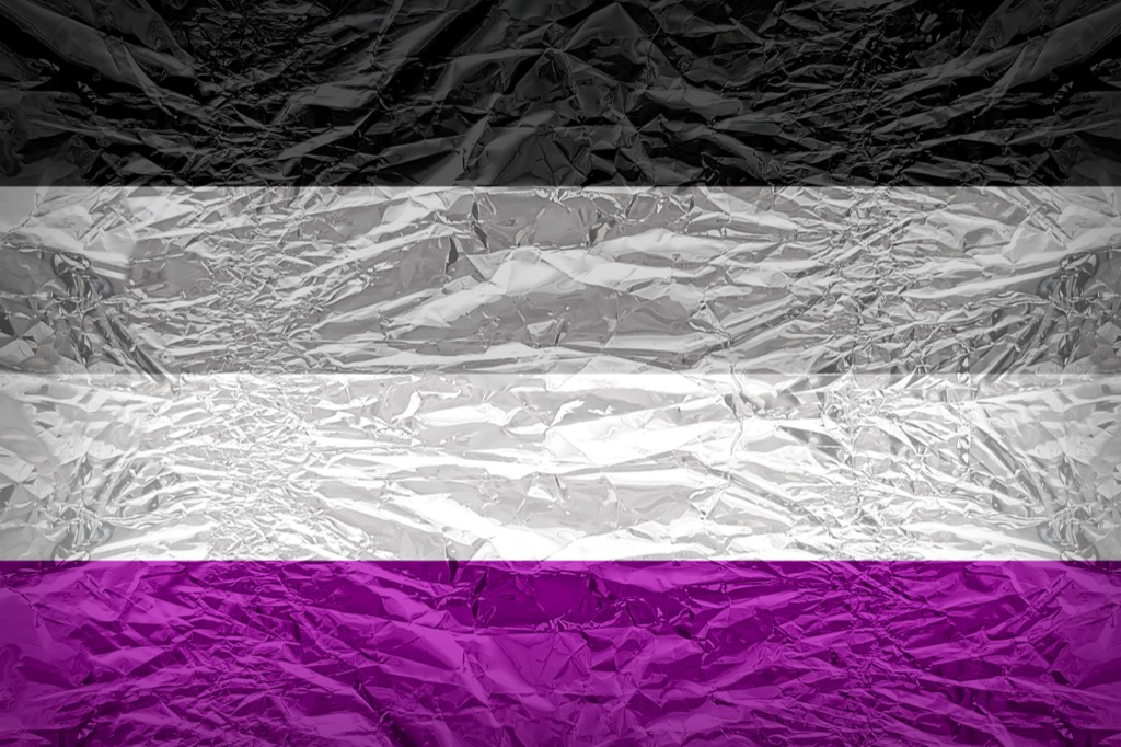 Demisexual flag