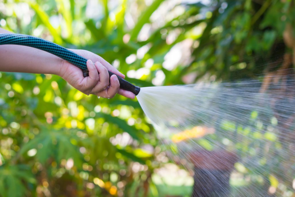 Woman Watering Garden